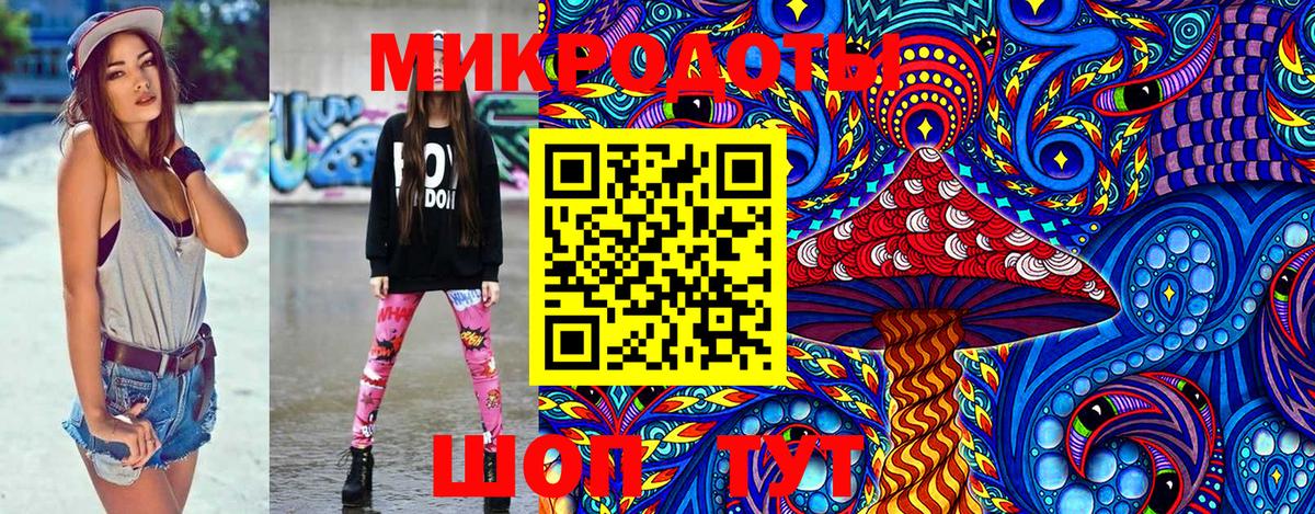 Псилоцибиновые грибы Psilocybine cubensis  Вход с VPN  Гудермес 